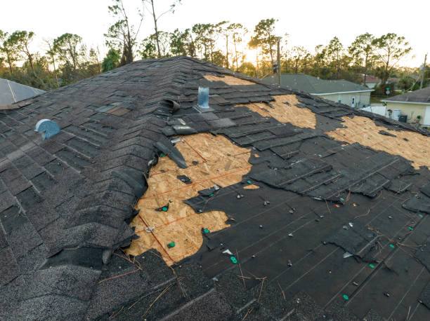 Roof Coating Services in Kinsey, AL